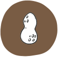 diófélék