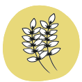 glutén